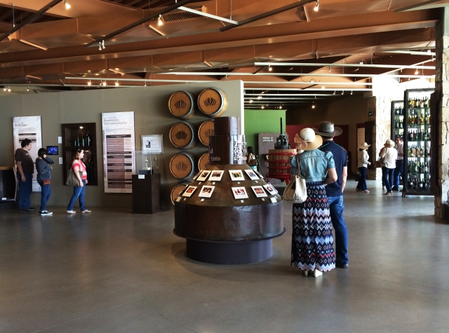 Wine Museum Museo de la Vid y el Vino Valle de Guadalupe Valley